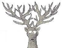 The Almighty 30-Point Buck
